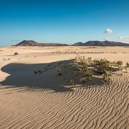 Home2book Comfy Casa Palomita, Terrace&pool Appartamento Corralejo