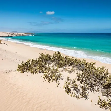 Home2book Comfy Casa Palomita, Terrace&pool Apartament *