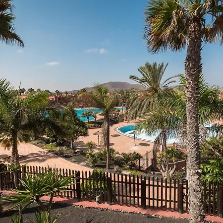 Home2book Comfy Casa Palomita, Terrace&pool Apartament