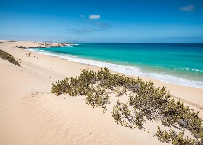 Home2book Comfy Casa Palomita, Terrace&pool Lägenhet *