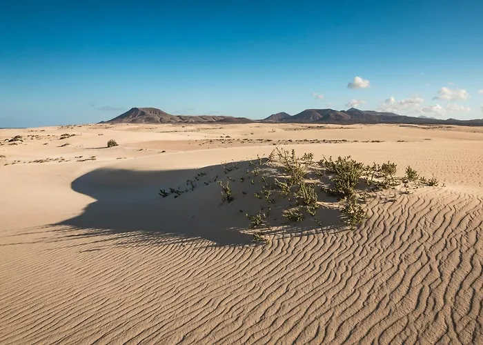 Home2book Comfy Casa Palomita, Terrace&pool Апартаменты Коральео